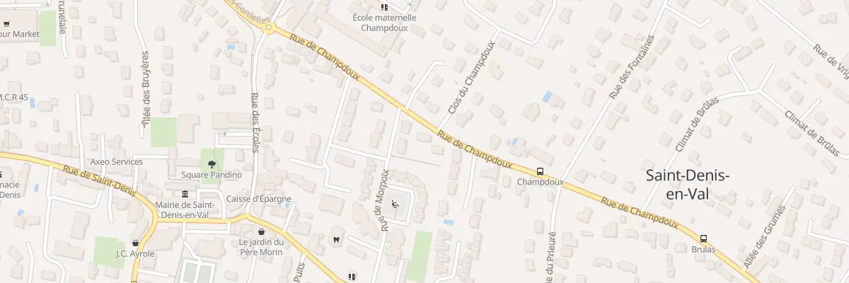 Plan du 228 Rue de Champdoux à Saint-Denis-en-Val