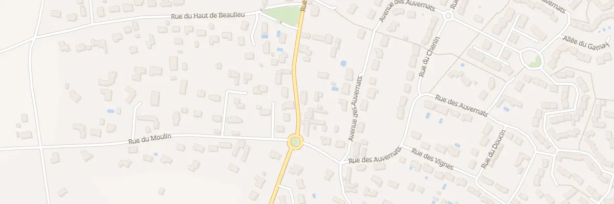 Plan du 491 Rue de Beaulieu à Saint-Denis-en-Val
