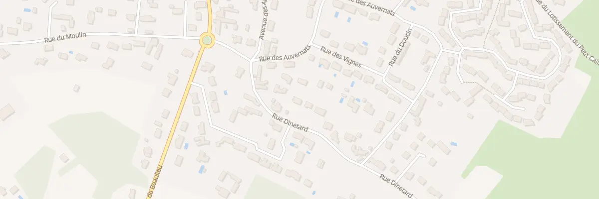 Plan du 205 Rue Dinetard à Saint-Denis-en-Val