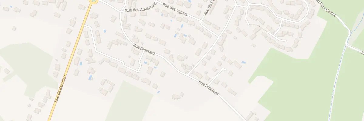 Plan du 295 Rue Dinetard à Saint-Denis-en-Val