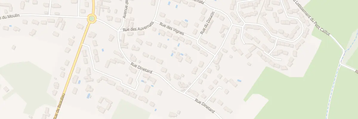 Plan du 263 Rue Dinetard à Saint-Denis-en-Val