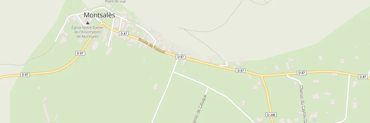 Plan du 5019 Montsales à Montsalès