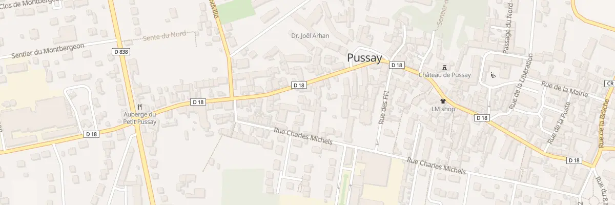 Plan du 101T Rue Etienne Laurent à Pussay