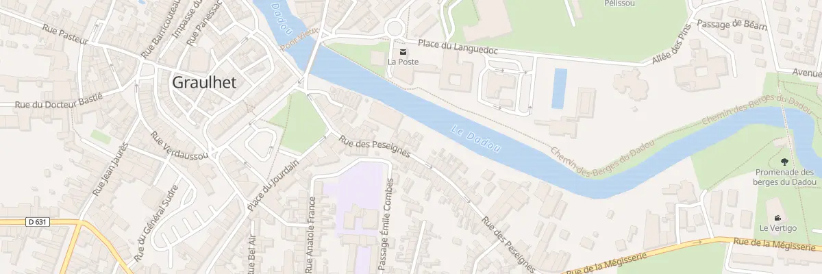 Plan du 19 Rue des Peseignes à Graulhet
