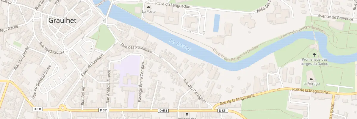 Plan du 45 Rue des Peseignes à Graulhet