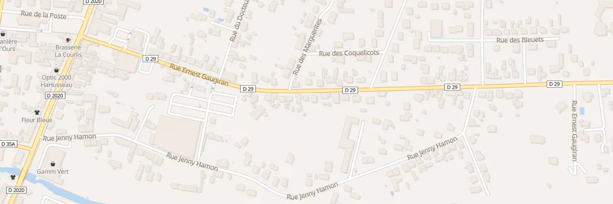 Plan du 44 Rue Ernest Gaugiran à Lamotte-Beuvron