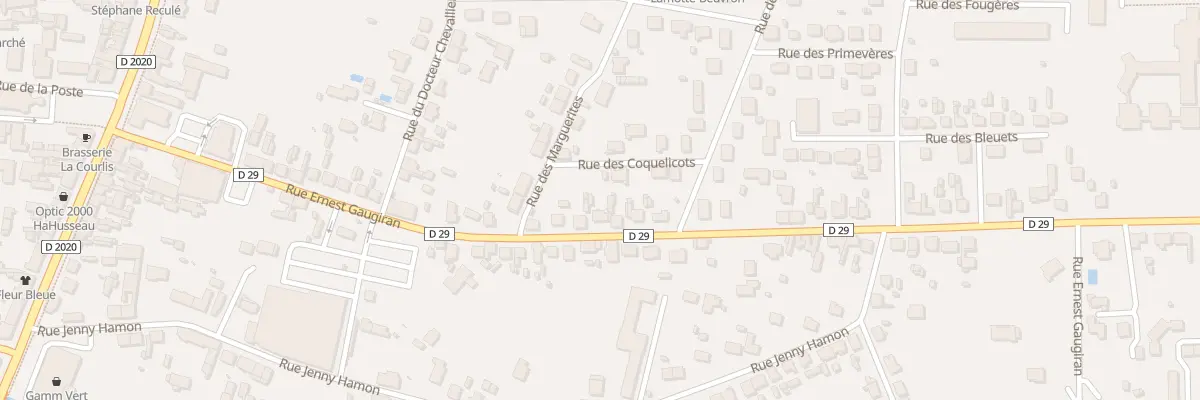 Plan du 35 Rue Ernest Gaugiran à Lamotte-Beuvron