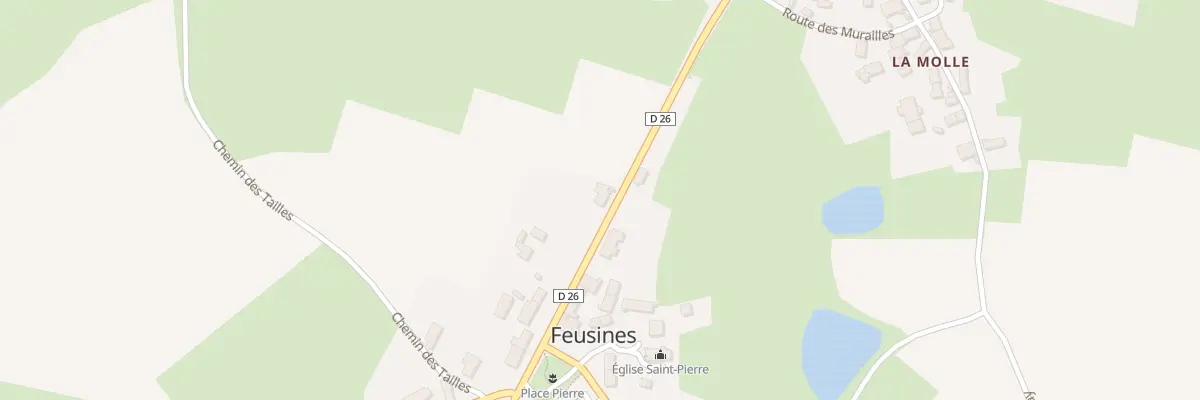 Plan du 25 Rte du Bourg à Feusines