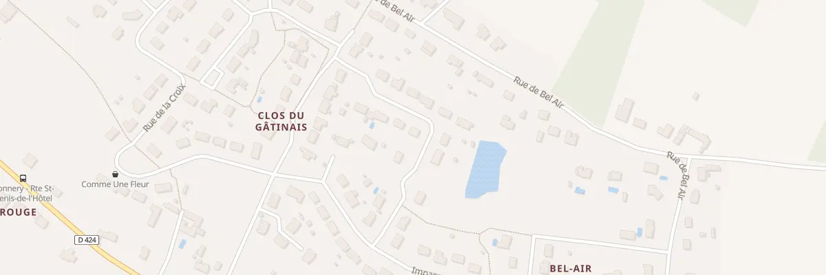 Plan du 333 Rue des Vignes à Donnery