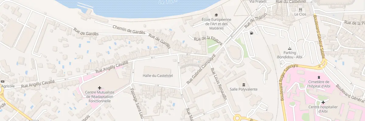 Plan du 3 Pl Foirail Castelviel à Albi