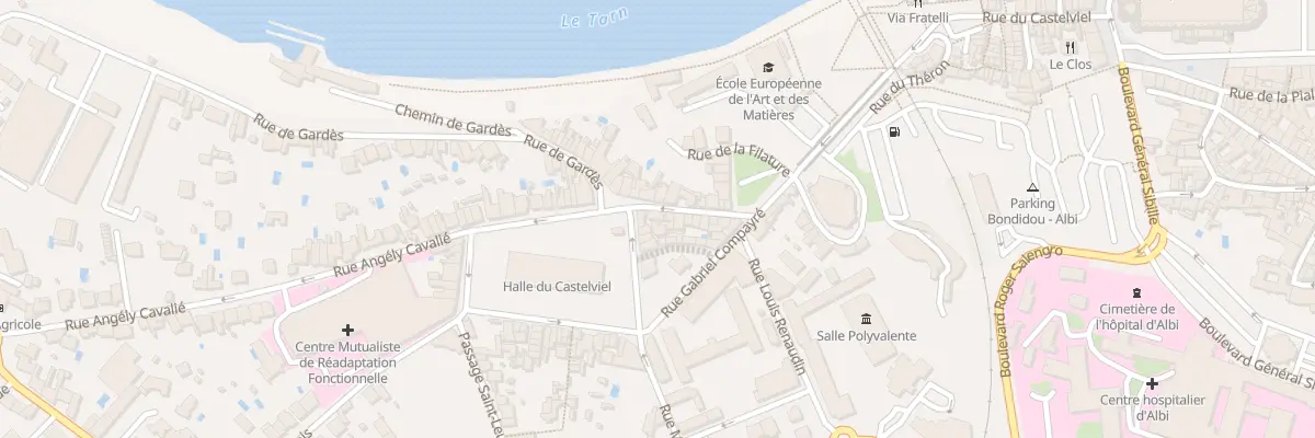 Plan du 19 Rue Foirail Castelviel à Albi
