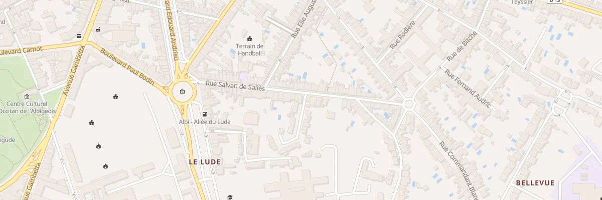 Plan du 44 Rue Salvan de Salies à Albi