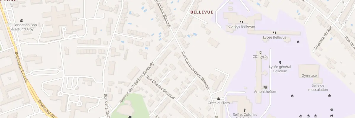 Plan du 134 Rue Cdt Blanche à Albi