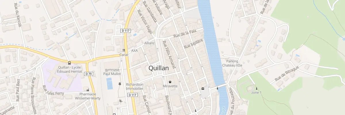 Plan du 60 Rue Félix Armand à Quillan