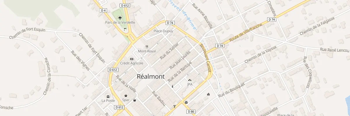 Plan du 29 Rue Jean Jaurès à Réalmont