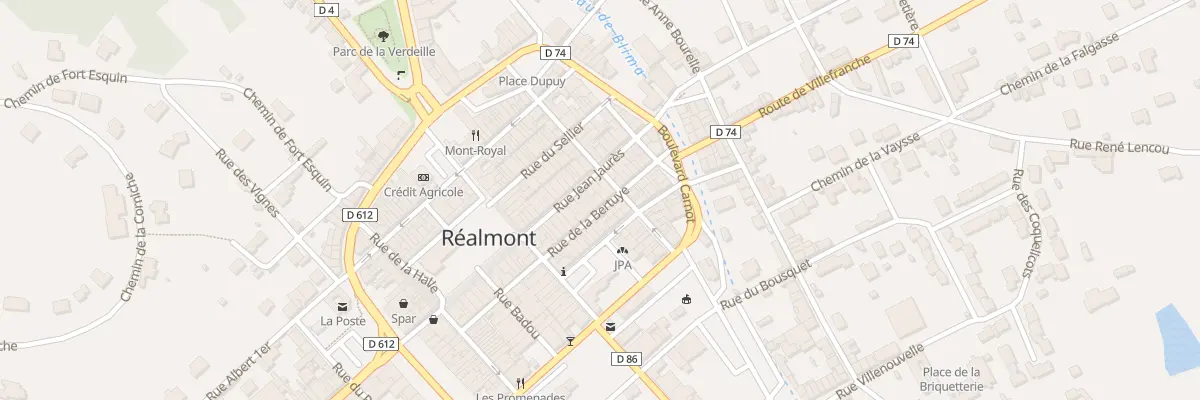 Plan du 21 Rue de la Bertuye à Réalmont