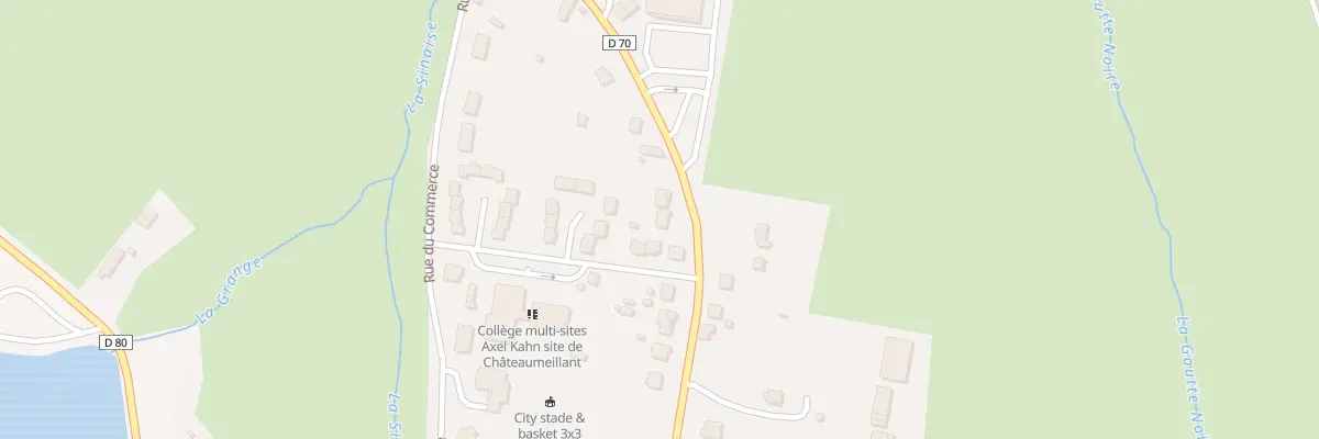 Plan du 45 Av Emile Chenon à Châteaumeillant