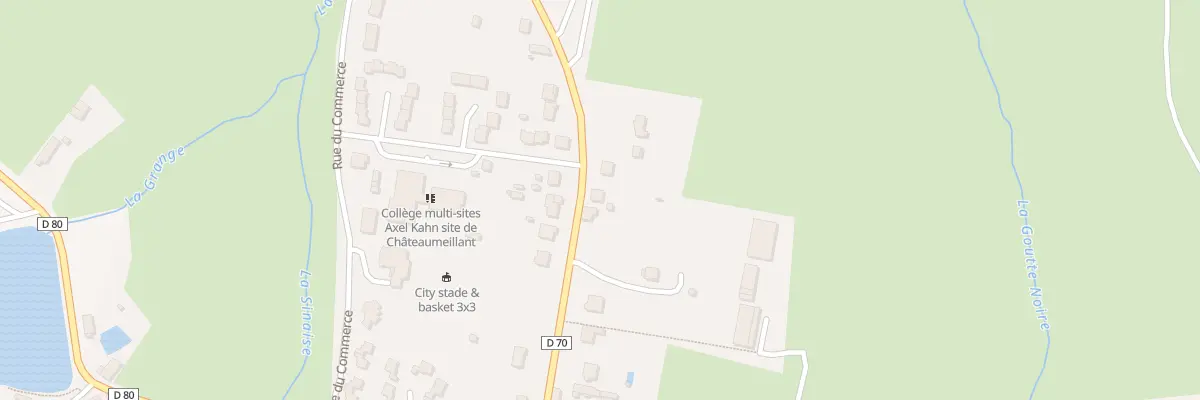 Plan du 44 Av Emile Chenon à Châteaumeillant