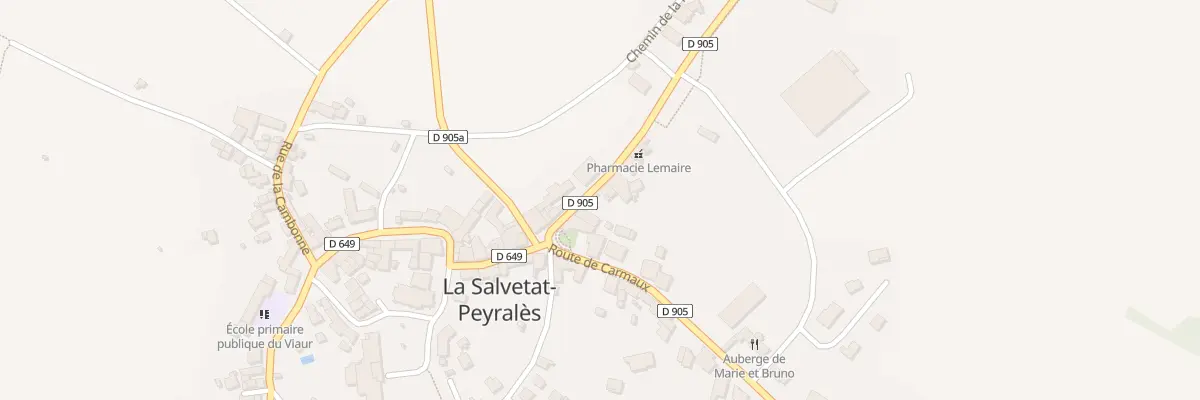 Plan du 10 Rte de Rodez à La Salvetat-Peyralès