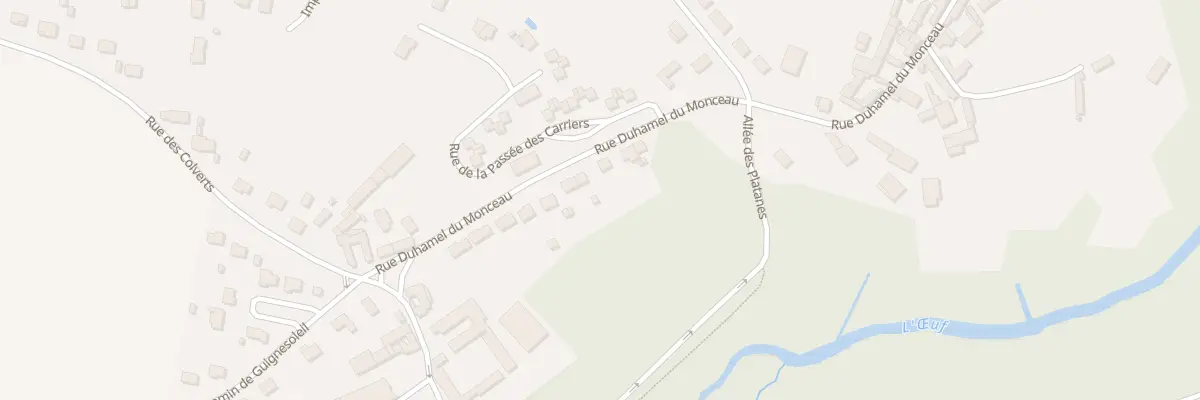 Plan du 29 Rue Duhamel du Monceau à Pithiviers-le-Vieil