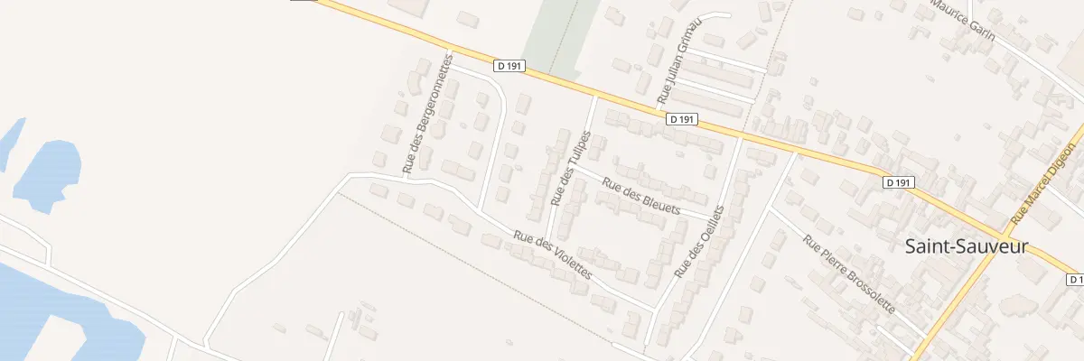 Plan du 459 Rue des Tulipes à Saint-Sauveur