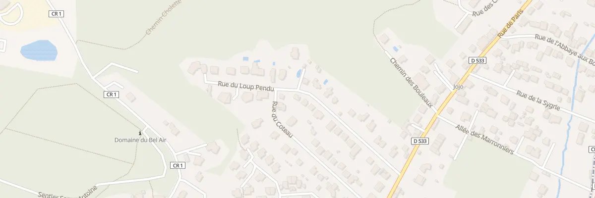 Plan du 21 Rue du Loup Pendu à Bièvres
