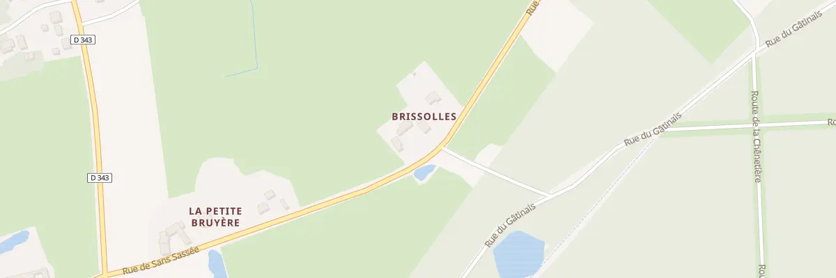Plan du 41 Rue de Sans Sassée à Ingrannes
