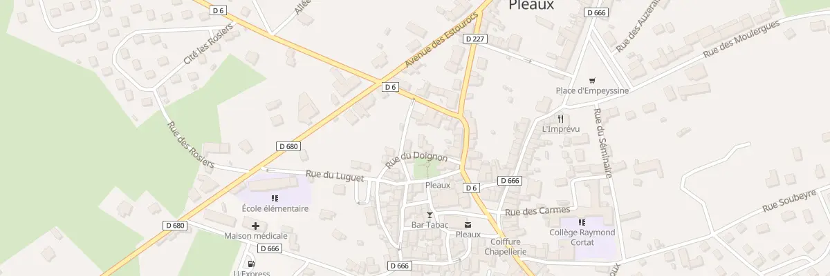 Plan du 10 Rue du Doignon à Pleaux