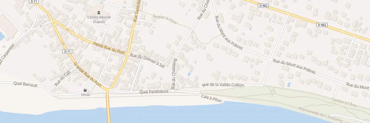 Plan du 29 Rue du Chastaing à Châteauneuf-sur-Loire