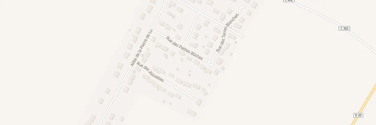 Plan du 21 Rue des Petites Buches à Allouis