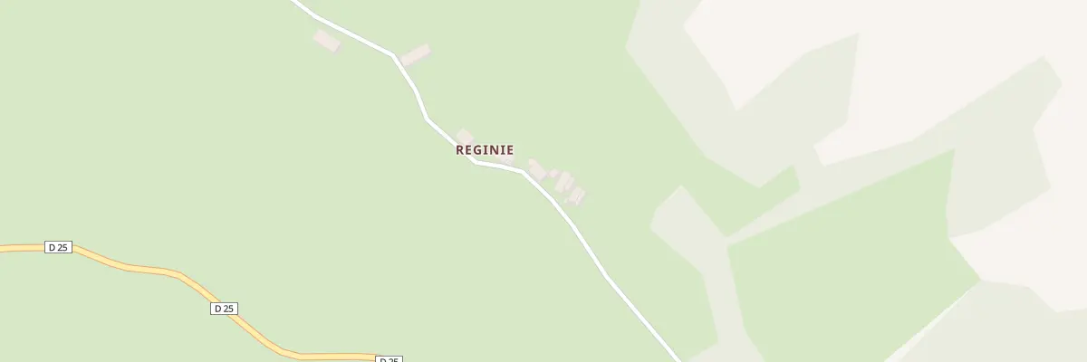 Plan du 5131 Reginie à Saint-Santin-de-Maurs