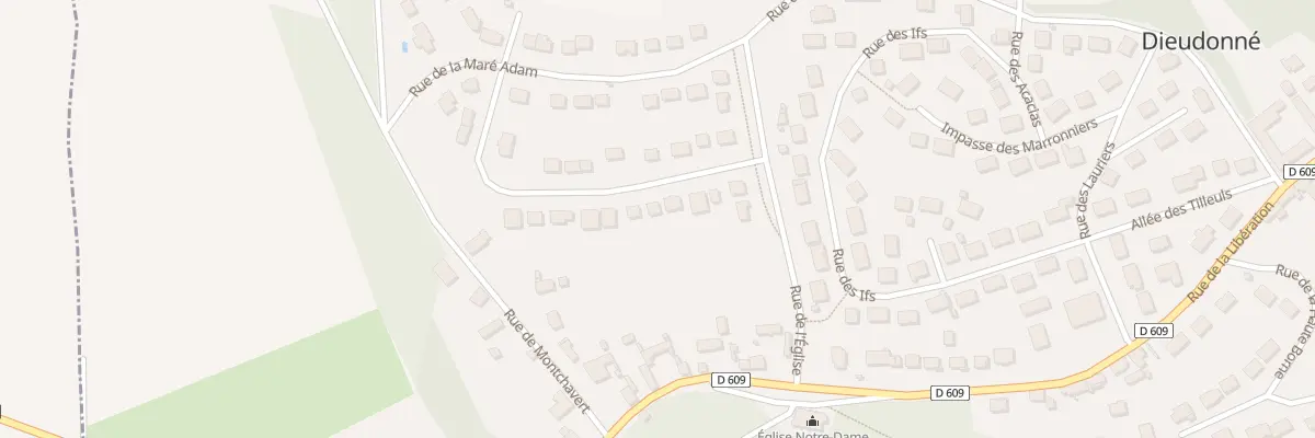 Plan du 9 Rue du Mont des Vignes à Dieudonné