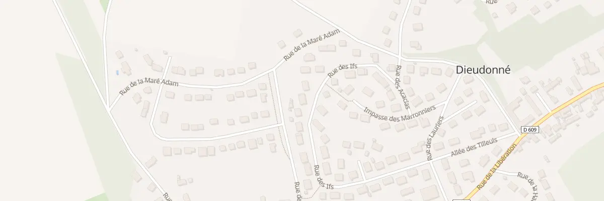 Plan du 29 Rue des Ifs à Dieudonné