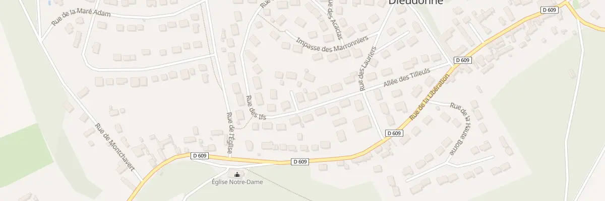 Plan du 10 Rue des Ifs à Dieudonné