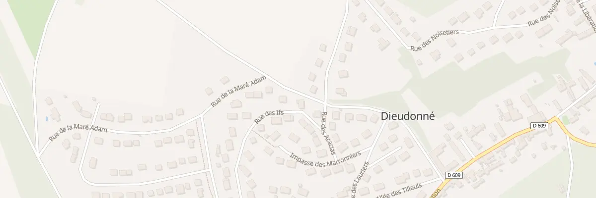 Plan du 3B Rue des Cerisiers à Dieudonné