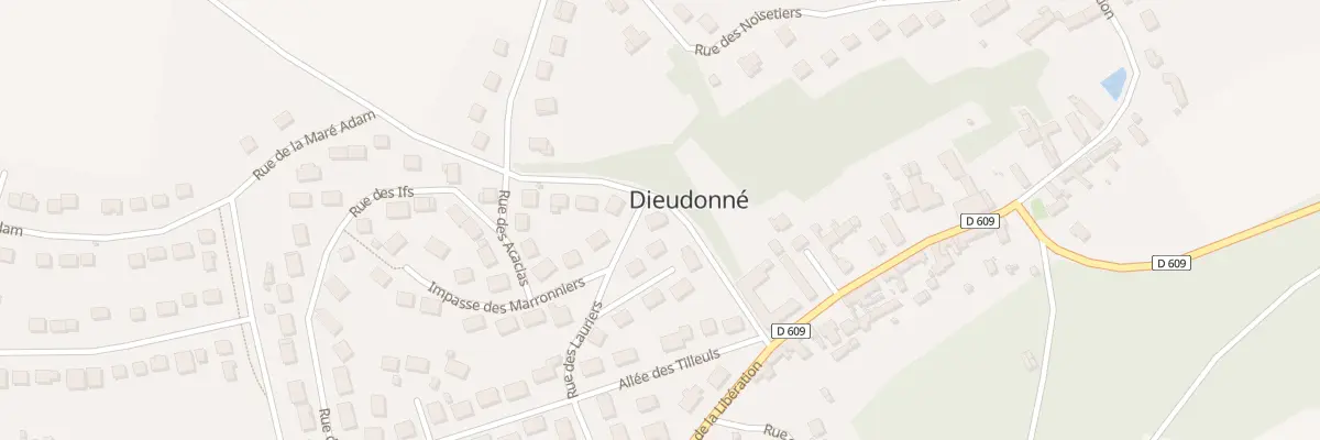 Plan du 6 Rue des Lauriers à Dieudonné