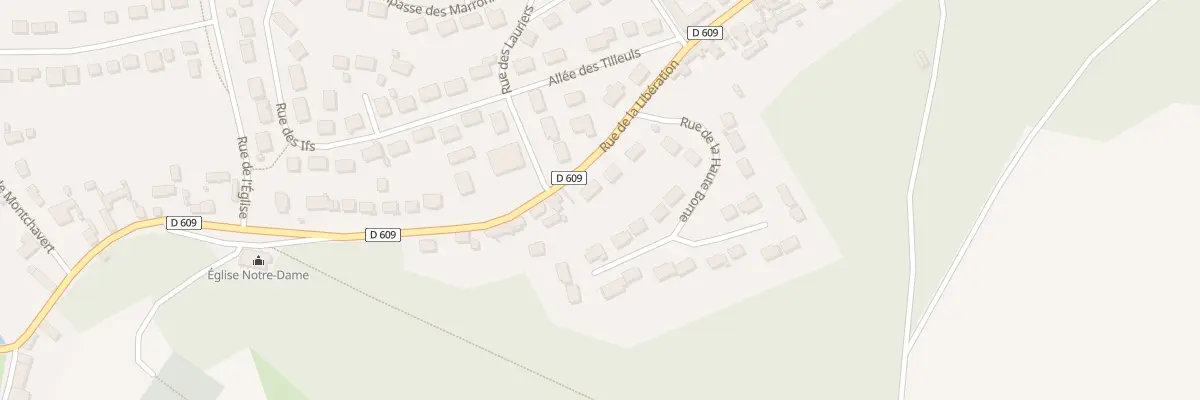 Plan du 20 Rue de la Libération à Dieudonné