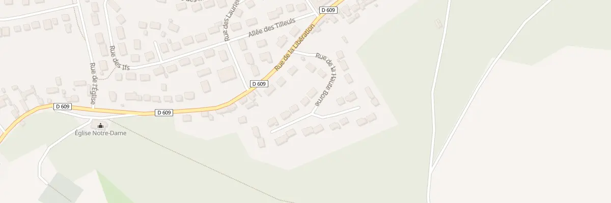 Plan du 8 Rue de la Haute Borne à Dieudonné