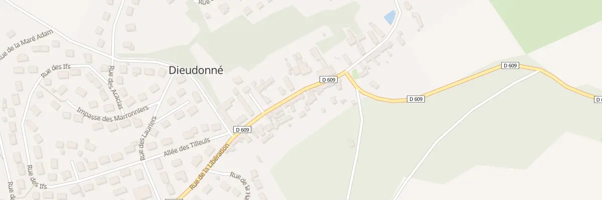 Plan du 38B Rue de la Libération à Dieudonné