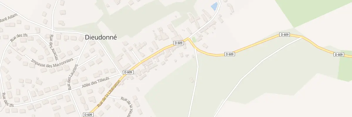 Plan du 42 Rue de la Libération à Dieudonné