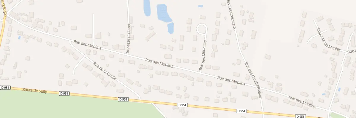 Plan du 49 Rue des Moulins à Neuvy-en-Sullias