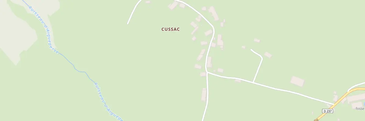 Plan du 5196 Cussac à Chaussenac