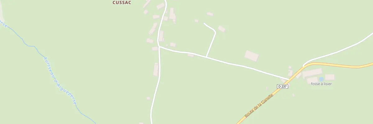 Plan du 5203 Cussac à Chaussenac