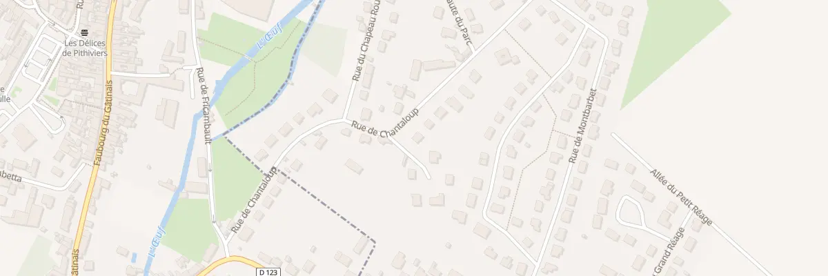 Plan du 22 Rue de Chantaloup à Dadonville