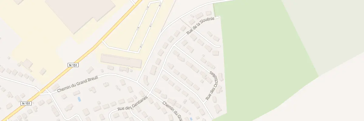 Plan du 19 Rue des Orchidees à Saint-Florent-sur-Cher