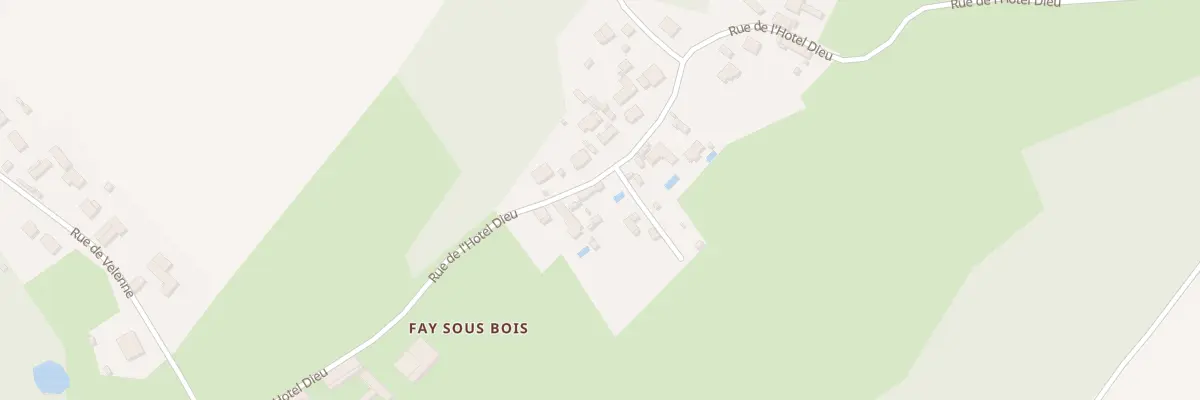 Plan du 350 Rue de l’Hôtel Dieu à Saint-Félix