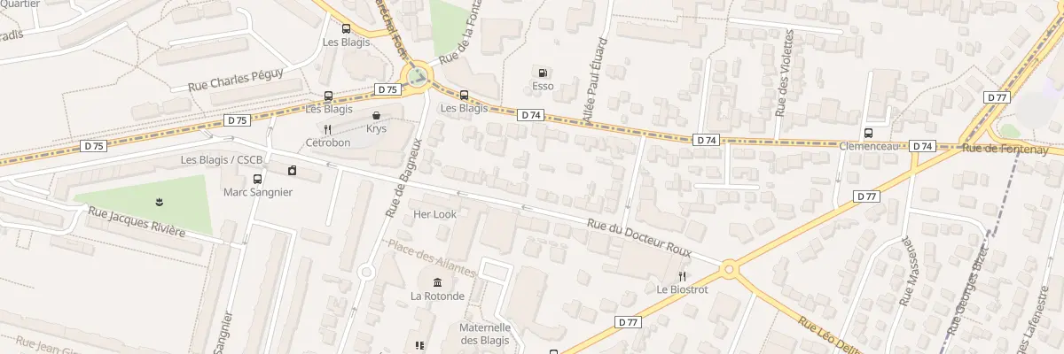 Plan du 27 Rue du Docteur Roux à Sceaux