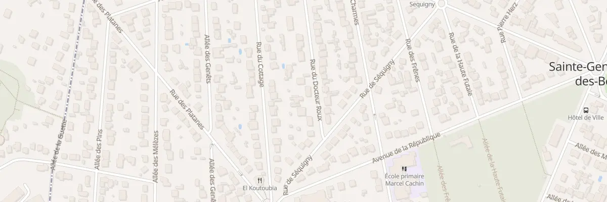 Plan du 13 Rue du Docteur Roux à Sainte-Geneviève-des-Bois