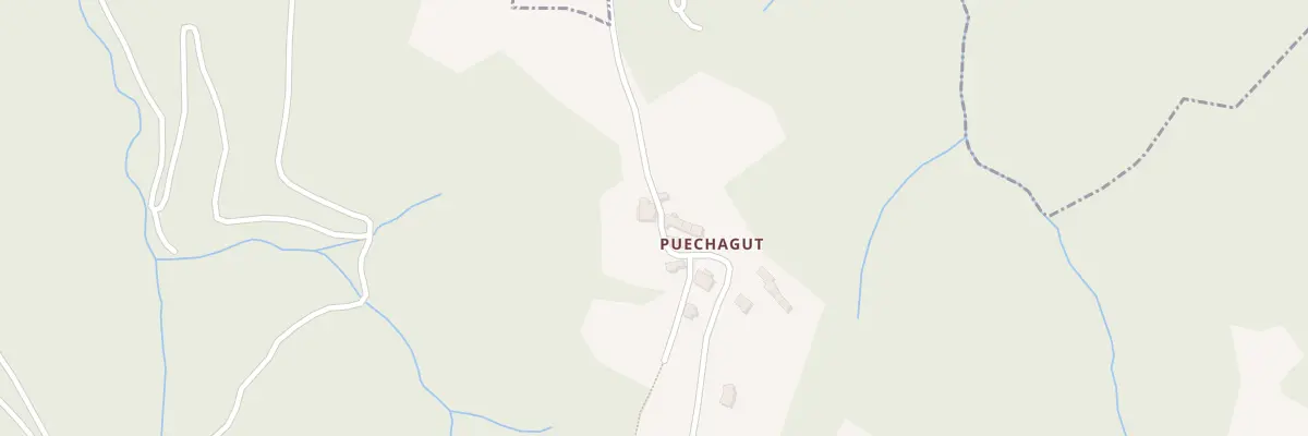 Plan du 5101 Puechagut à Almont-les-Junies