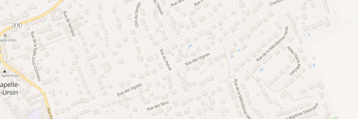Plan du 29 Rue des Vignes à La Chapelle-Saint-Ursin